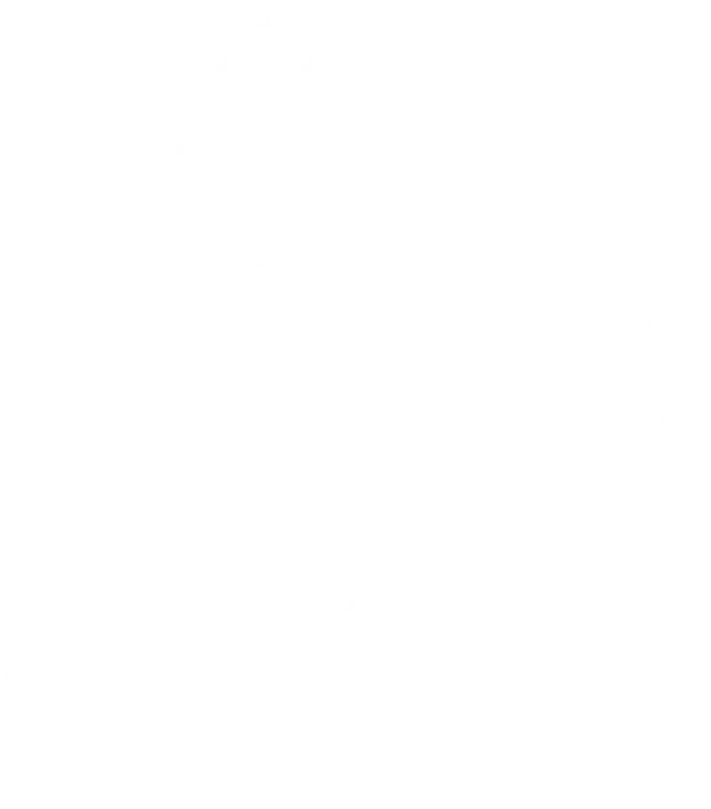 Shopify logo